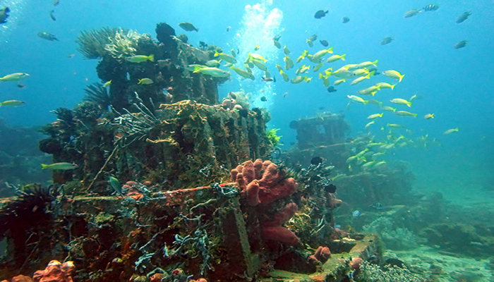 Diving in Amed Bali