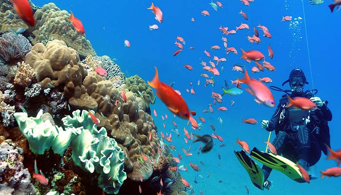 Diving Gili Tapekong Bali